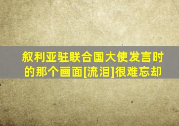 叙利亚驻联合国大使发言时的那个画面[流泪]很难忘却